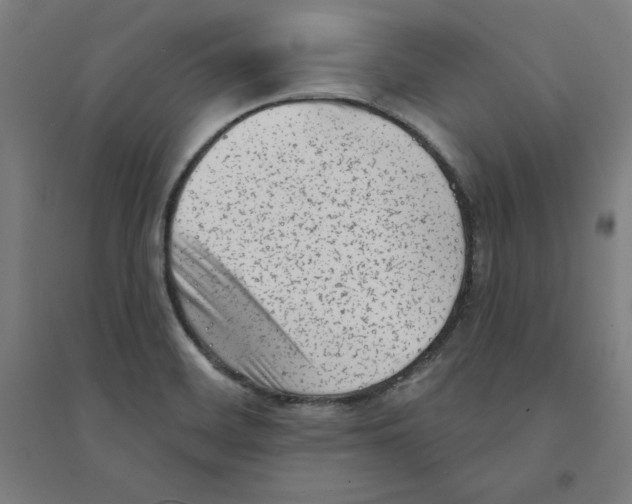 X0000094351468200711301350