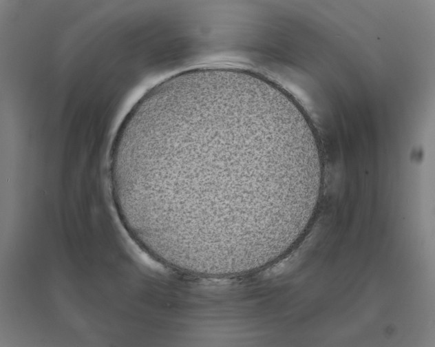 X0000094351470200711301350