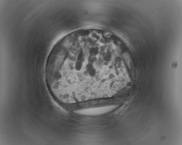 X0000094351471200711301350