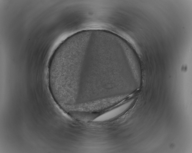 X0000094351472200711301350