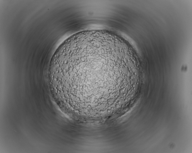 X0000094351473200711301350