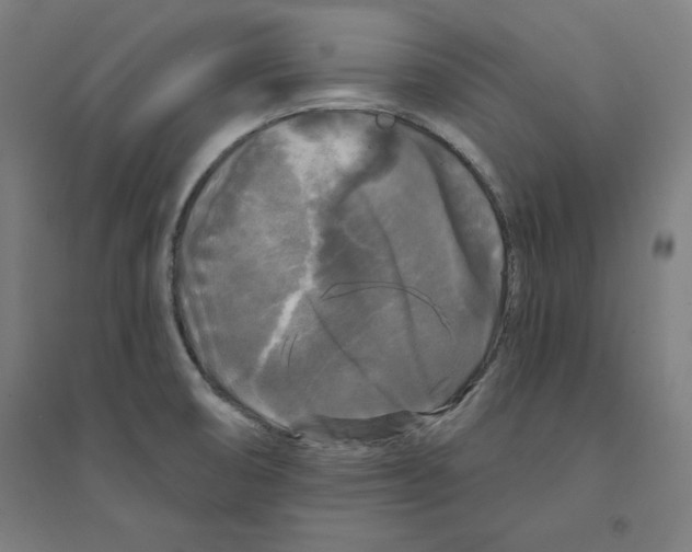 X0000094351474200711301350