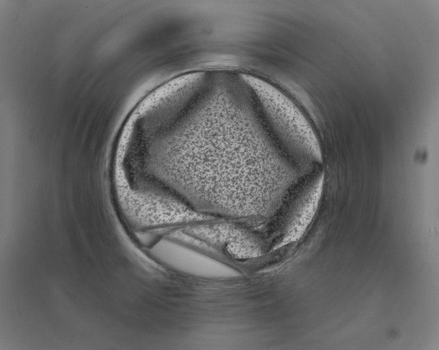X0000094351475200711301350