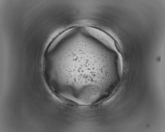 X0000094351477200711301350