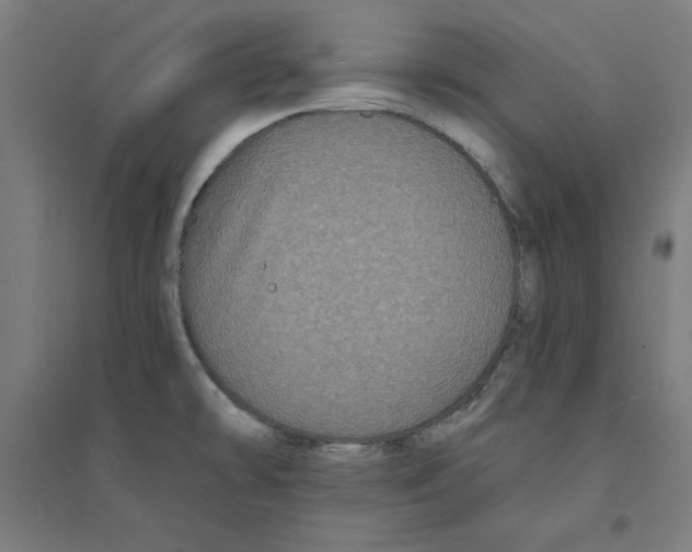 X0000094351478200711301350