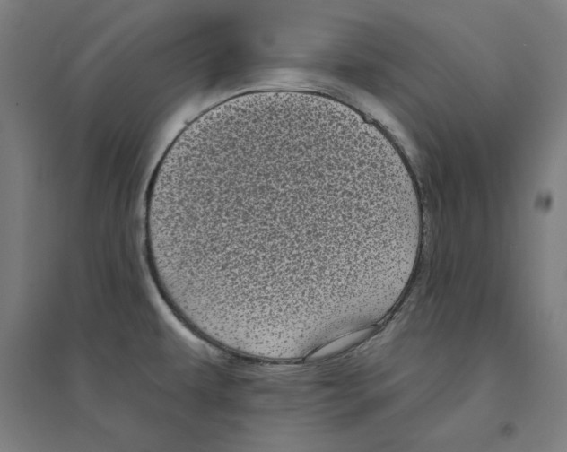 X0000094351479200711301350