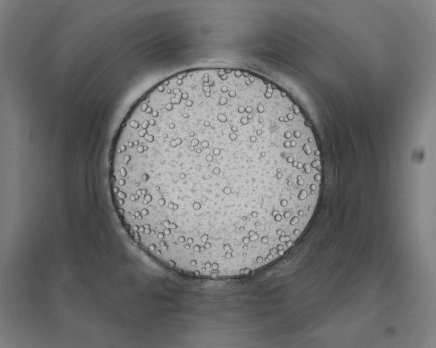 X0000094351480200711301350