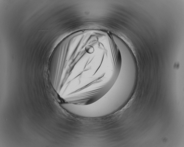 X0000094351481200711301350