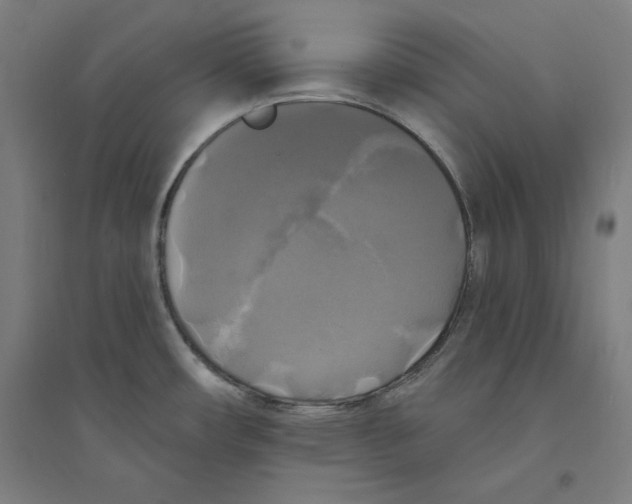 X0000094351482200711301350