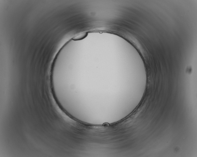 X0000094351483200711301350