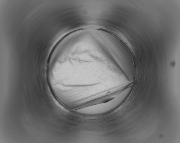 X0000094351484200711301349
