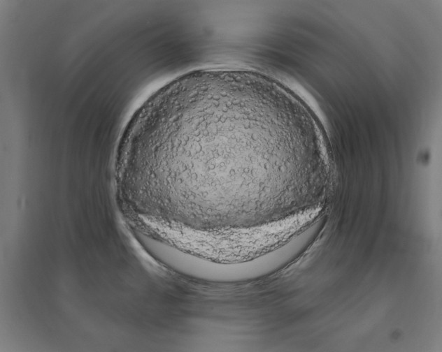 X0000094351485200711301349