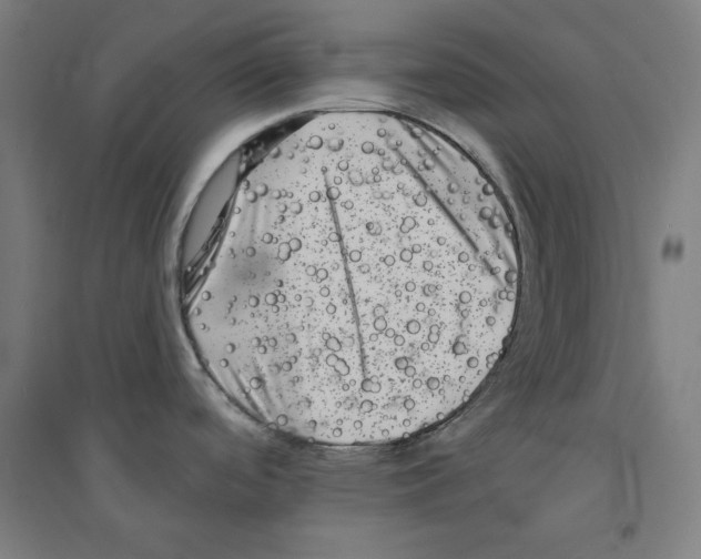 X0000094351488200711301349