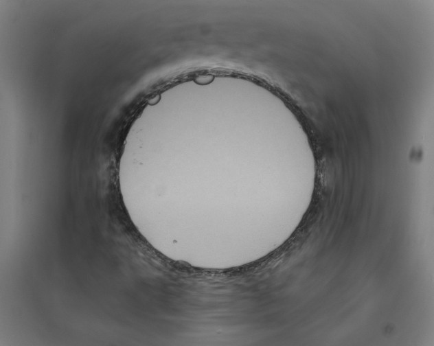 X0000094351495200711301349