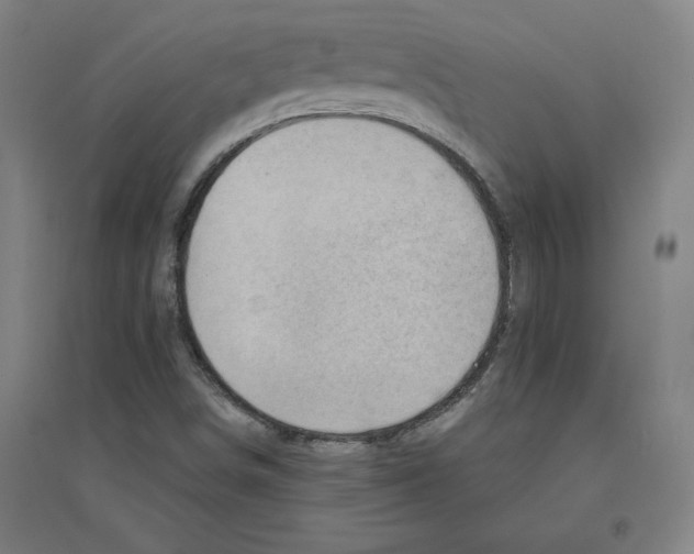 X0000094351498200711301349