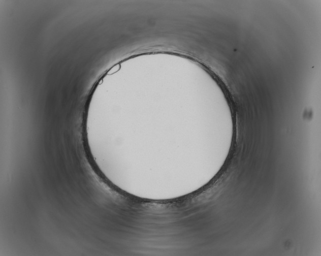 X0000094351500200711301349