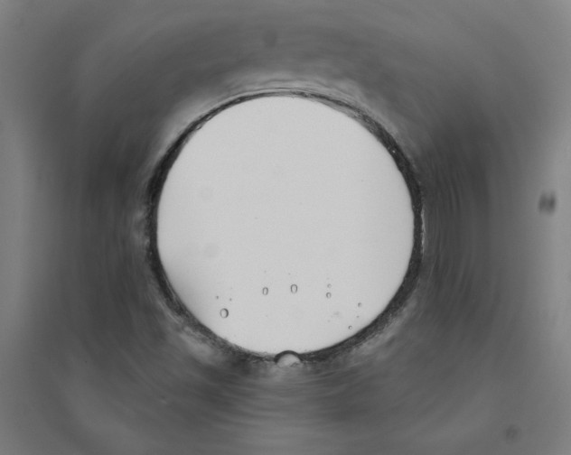X0000094351501200711301349