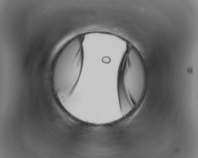 X0000094351502200711301349
