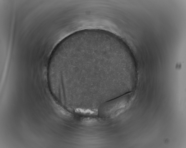 X0000094351505200711301349