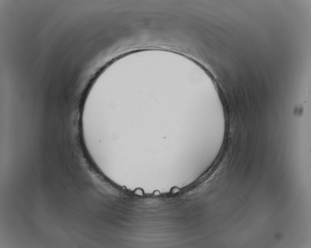 X0000094351507200711301349