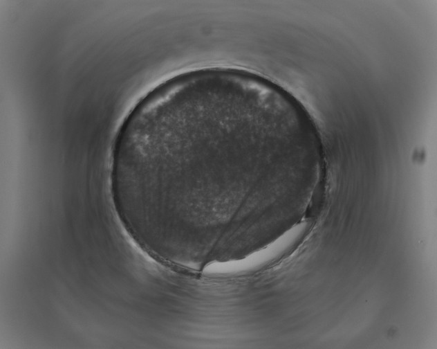 X0000094351508200711301349