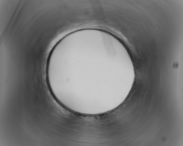 X0000094351512200711301349