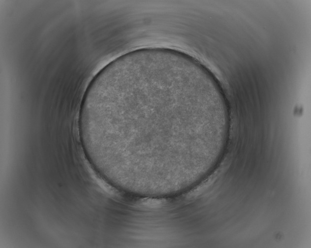 X0000094351513200711301349