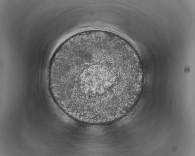 X0000094351514200711301349