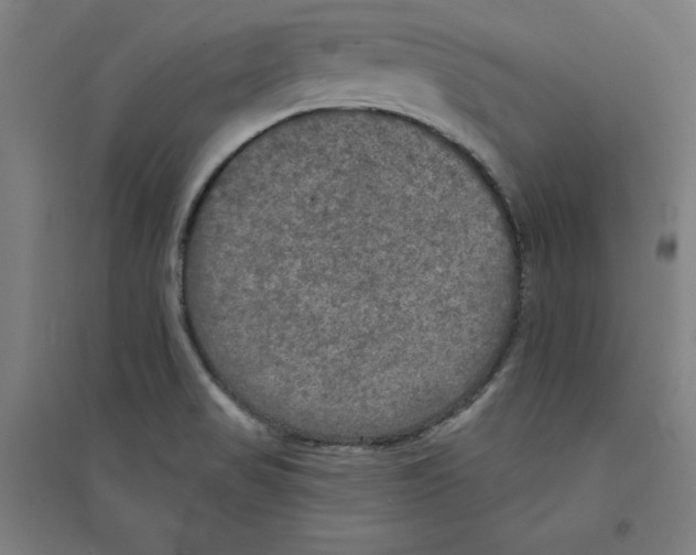X0000094351517200711301349