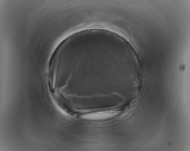 X0000094351519200711301349