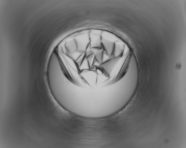 X0000094351520200711301349