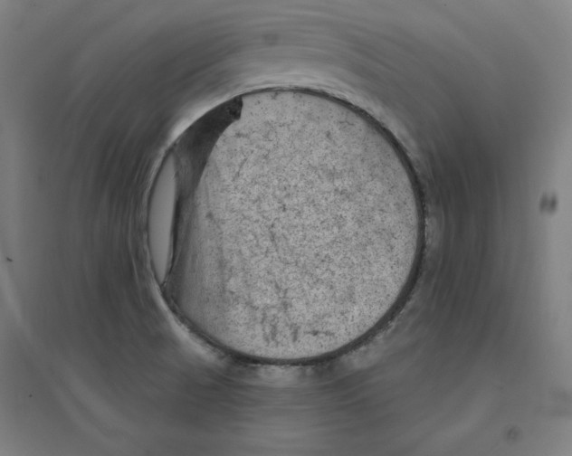 X0000094351521200711301349