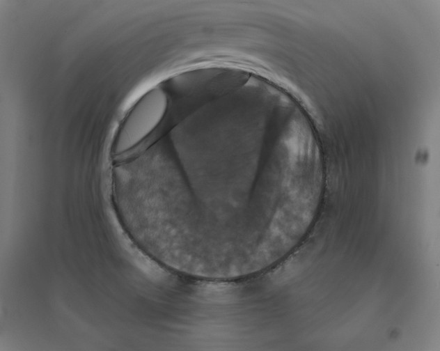 X0000094351522200711301349