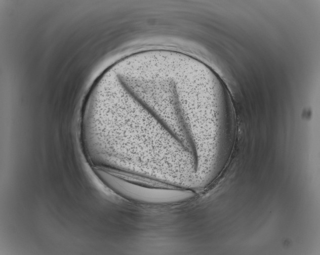 X0000094351523200711301349