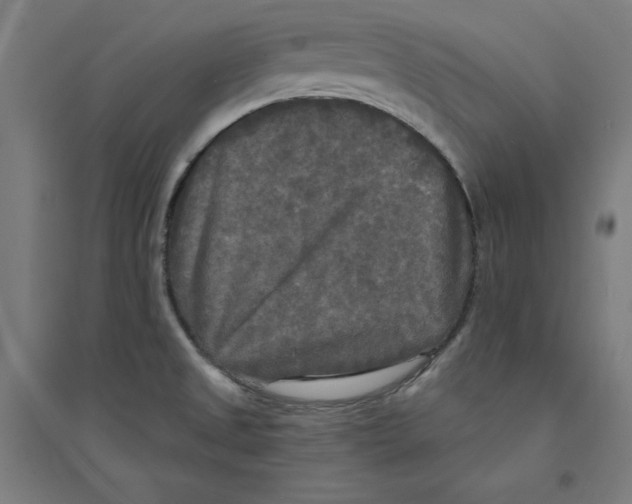 X0000094351525200711301349