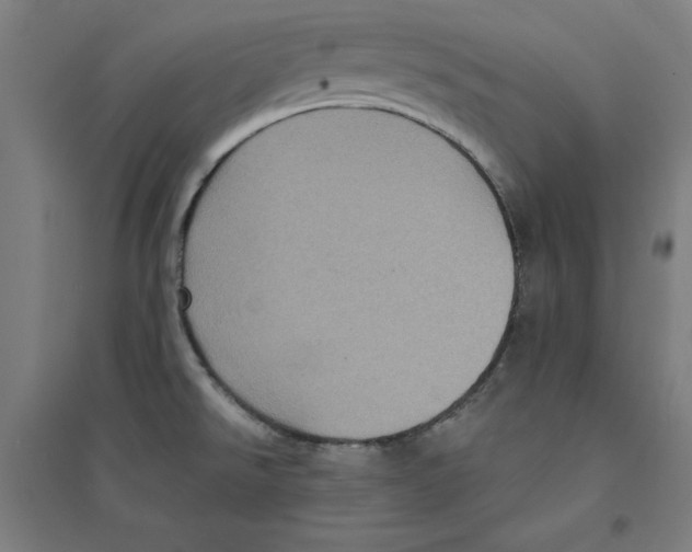 X0000094351526200711301349