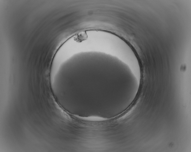 X0000094351529200711301349