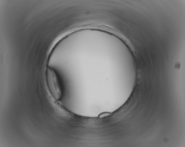 X0000094351530200711301349