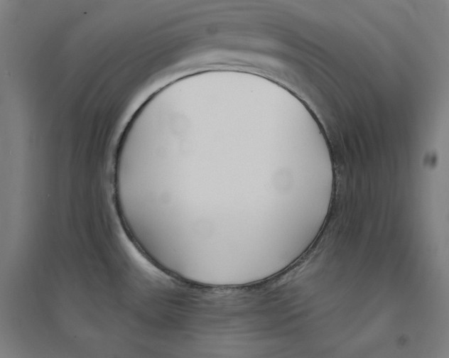 X0000094351531200711301349