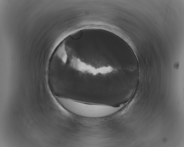 X0000094351533200711301349