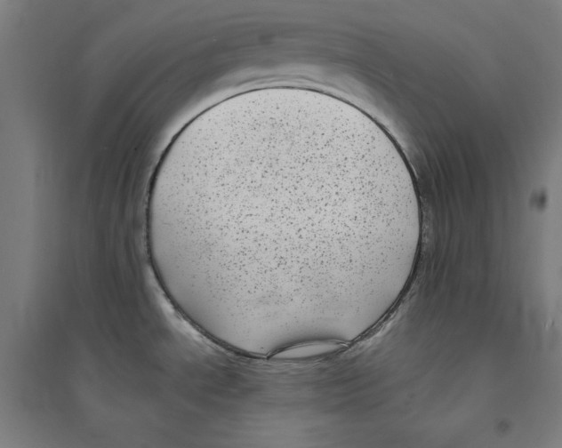 X0000094351534200711301349