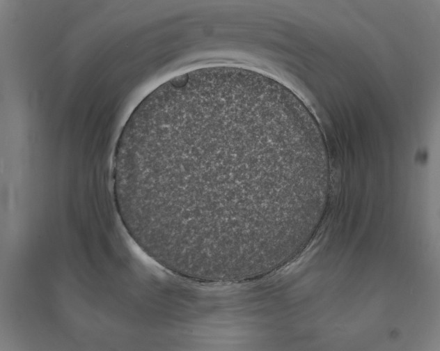 X0000094351535200711301349