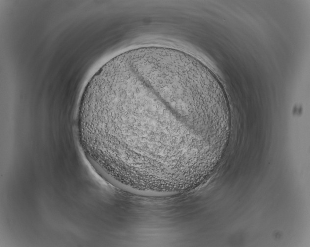 X0000094351536200711301349