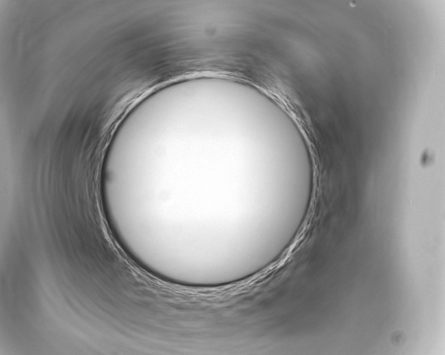 X0000094360001200711021347