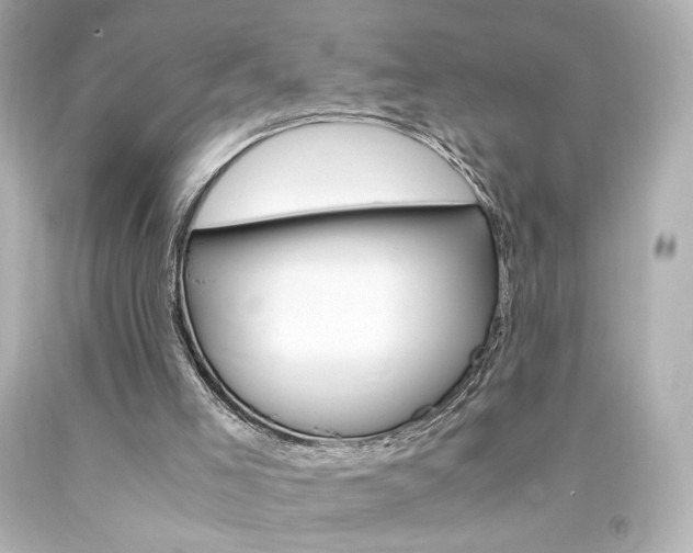 X0000094360005200711021347