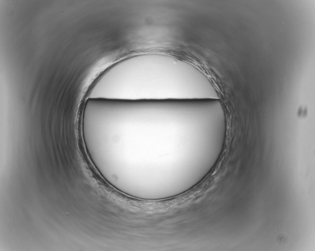 X0000094360006200711021347