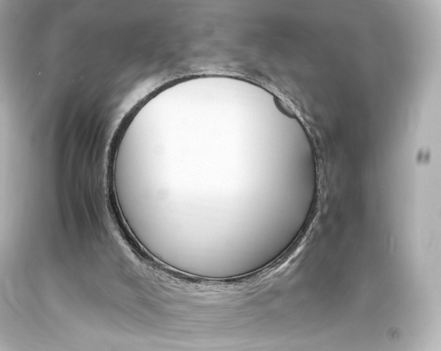 X0000094360008200711021346