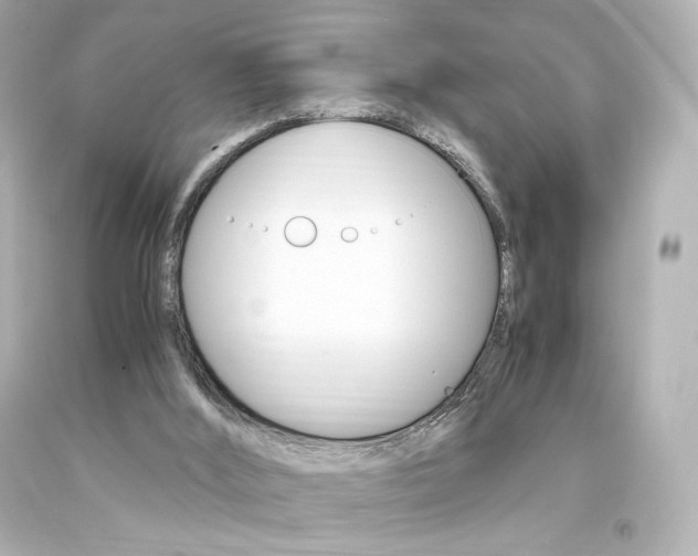 X0000094360012200711021346