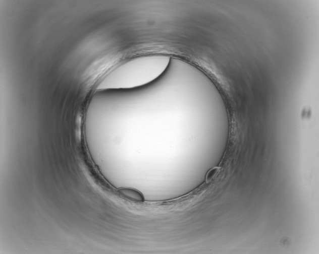 X0000094360014200711021346