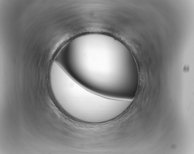 X0000094360015200711021346